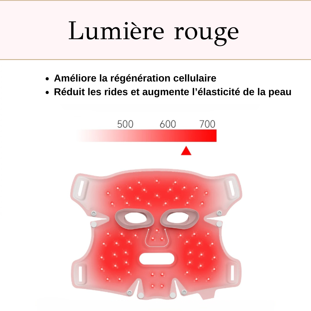 Anlan Clinic Pro — Masque de Luminothérapie